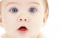 Как отказаться от прививок на законных основаниях