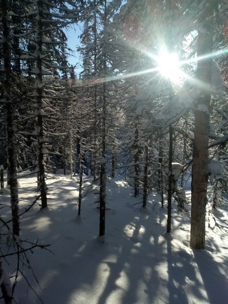 ЗИМНИЙ ПРАЗДНИК В ЧЕСТЬ СВАРОГА И СЫНА ЕГО САМАРГЛА С 21 на 22 декабря - КОЛЯДА - 5 незабываемых дней предновогодних святок (с 24 декабря по 29 декабря
