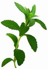 Заметка Пути