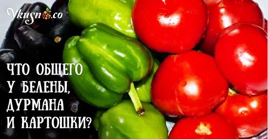 О паслёновых