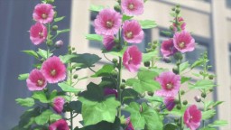 62-е августа ПНС