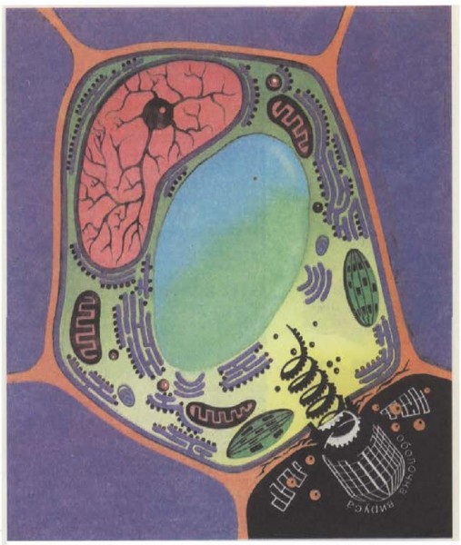 И вновь о выдумке.
