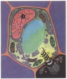 И вновь о выдумке.