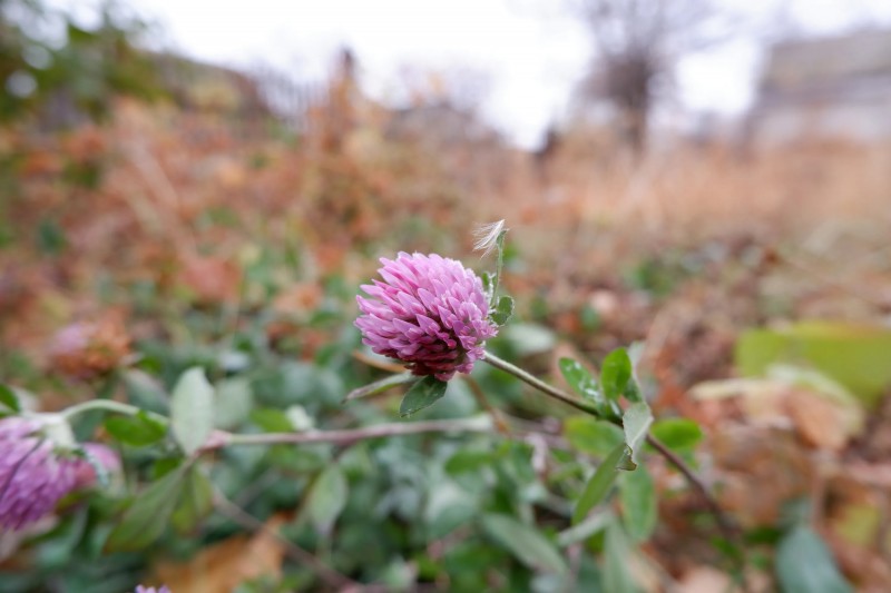 Условности Ни помеха Естеству