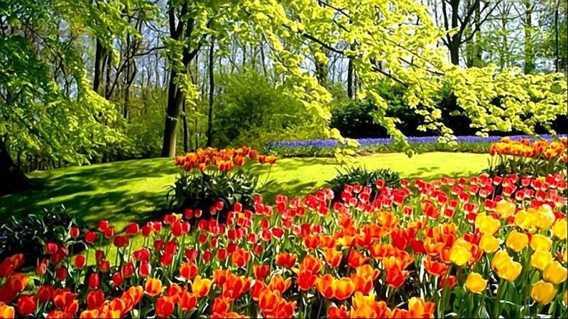 О Здравом в Многомерии и Беззимьи Явного Мира. О Здравом в Многомерии и Беззимьи Явного Мира.