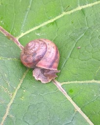 мир, каким его вижу я