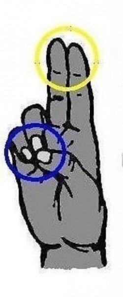 ​Забытые слова и понятия. ПЕРУНИЦА.