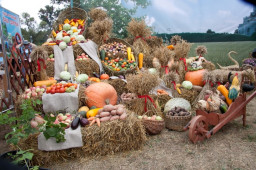 Славяно-Арийские Праздники. День Праздника Урожая. 6 Рамхатъ 7532 лѣто от СМЗХ (25 - 26 сентября 2023 г).