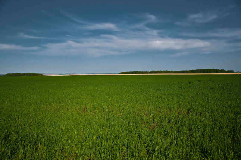 ​Словарь основных персонажей славянской мифологии и ритуальных понятий. САРАЧИНСКОЕ ПОЛЕ.