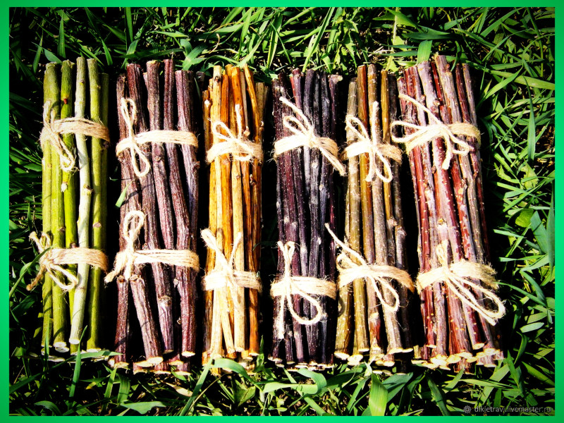 Травоведение. Весенний витаминный чай.