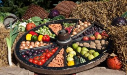 ​Славяно-Арийские Праздники. День Праздника Урожая. 6 Рамхатъ 7528 лѣто от СМЗХ (26 - 27 сентября 2019 г).