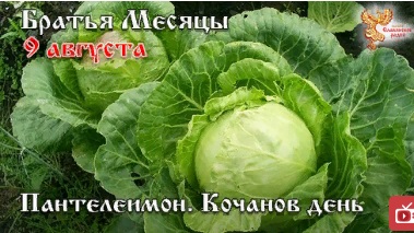 Братья месяцы. 9 августа - Пантелеимон. Кочанов день.