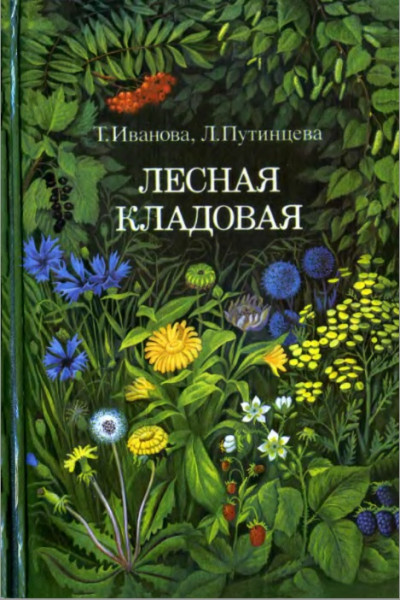 Лесная кладовая