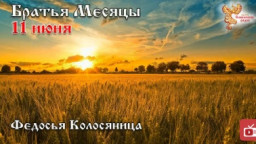 Братья месяцы 11 июня. Федосья Колосяница.