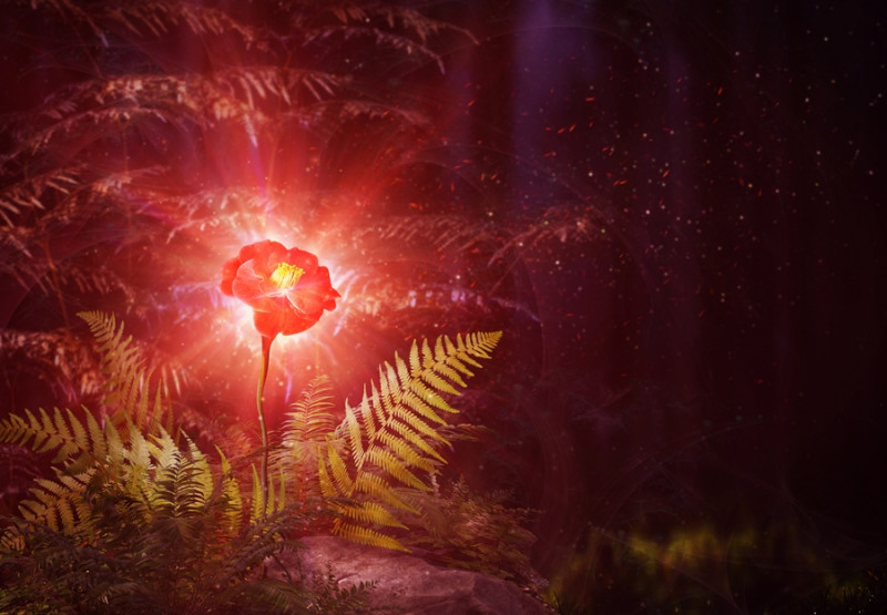 Словарь основных персонажей славянской мифологии и ритуальных понятий. СВЕТИ-ЦВЕТ.