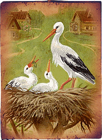 Мифы славян. АИСТ. Мифы славян. АИСТ.