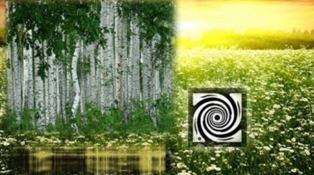 Статья о Мудрости. Путеводная Нить.