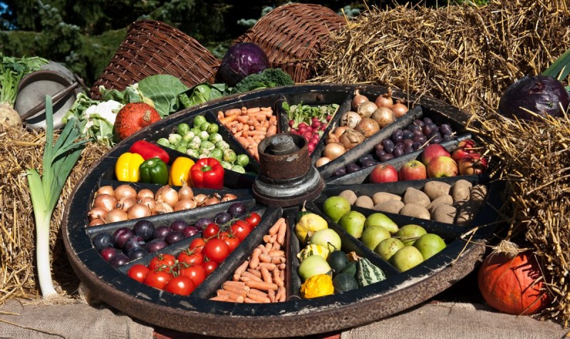 Славяно-Арийские Праздники. День Праздника Урожая. 6 Рамхатъ 7528 лѣто от СМЗХ (26 - 27 сентября 2019 г). Славяно-Арийские Праздники. День Праздника Урожая. 6 Рамхатъ 7528 лѣто от СМЗХ (26 - 27 сентября 2019 г).