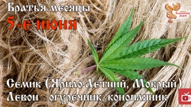 Братья месяцы. 05 июня Левон (Леонтий) - огуречник, конопляник. По одному из календарей славяне отмечают Семик (Ярило Летний, Ярило Мокрый). Братья месяцы. 05 июня Левон (Леонтий) - огуречник, конопляник. По одному из календарей славяне отмечают Семик (Ярило Летний, Ярило Мокрый).