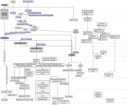 Дерево религий Примерная картина такова: