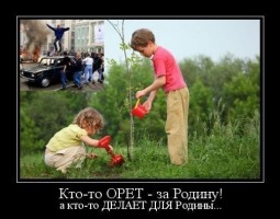 То, что мне понравилось