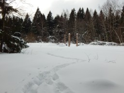 Слава родным богам.