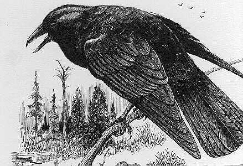 Славянские предания и поверья Славянские предания и поверья