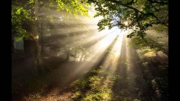 Пробуждение...