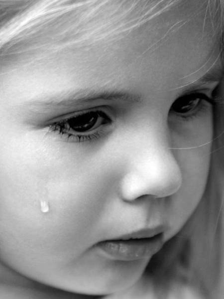 Воспитание богов Воспитание богов