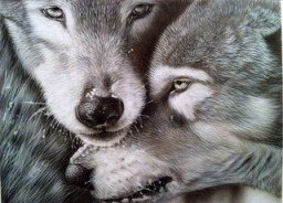 Славяне Новосибирска