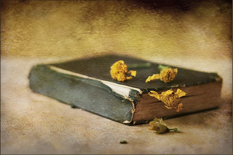 Крестовый поход, Ветхий и Новый Завет. Крестовый поход, Ветхий и Новый Завет.