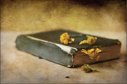 Крестовый поход, Ветхий и Новый Завет.