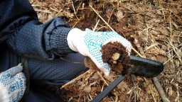 Клинское наследие