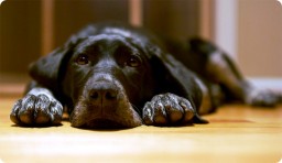 История о том, как жизнь умеет закрутить сюжет История о том, как жизнь умеет закрутить сюжет