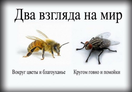 Истина где-то рядом Истина где-то рядом