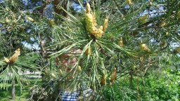 Мир вокруг меня