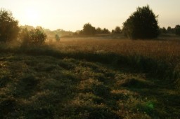 Просто фото. Природа и другое.