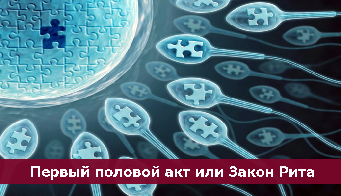 Телегония и законы РИТА