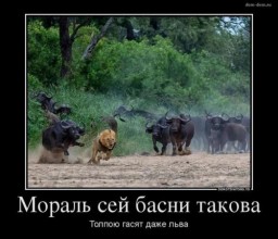 Измени себя -- изменится мир вокруг.