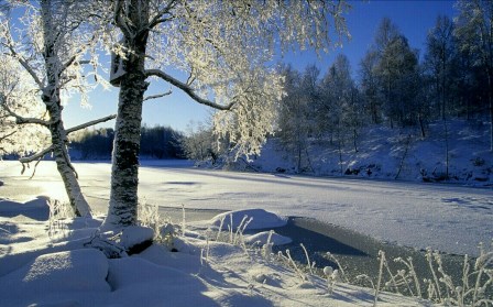 Дремлет природа в печали... Дремлет природа в печали...
