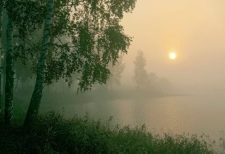 В тумане сонные низины...