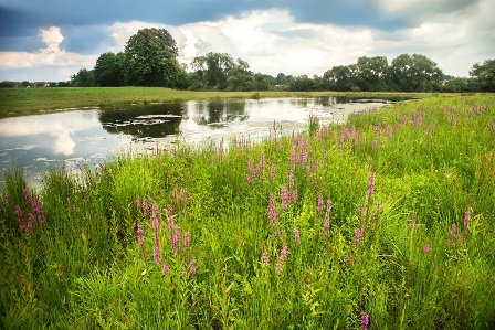 За берёзами и рекой... Видеостихотворение