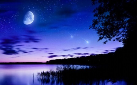 Лунный свет заполнил дали...