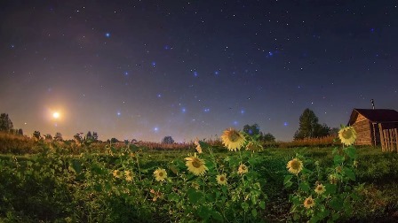 Пахнет дымом и малиной... Пахнет дымом и малиной...