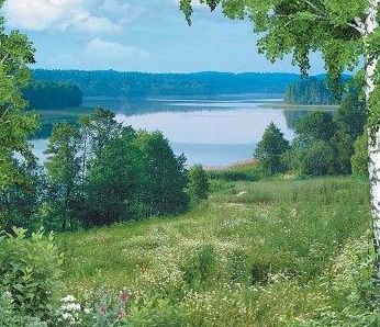 За берёзами и рекой... За берёзами и рекой...