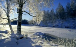 Дремлет природа в печали...