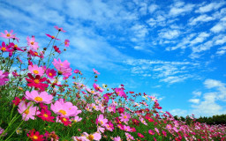 Десять стихотворений...