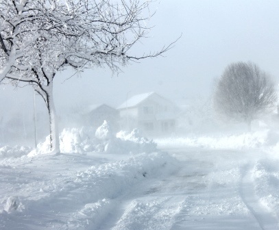 Метель Метель