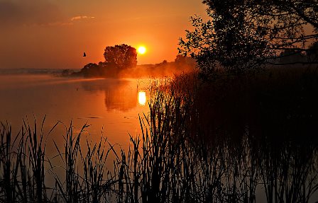 Не грусти, мой тихий вечер... Не грусти, мой тихий вечер...