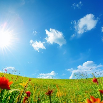 В лугах задумчивых с цветами...